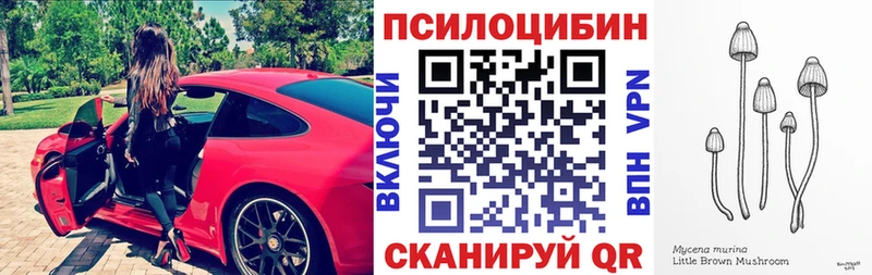 где купить наркоту  Сердобск  Галлюциногенные грибы MAGIC MUSHROOMS 